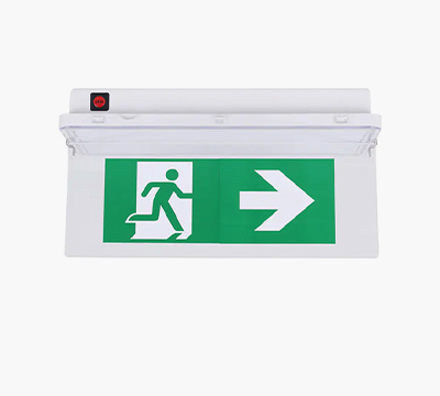 Ultra Slim Recessed Emergency Light 80lm IP65